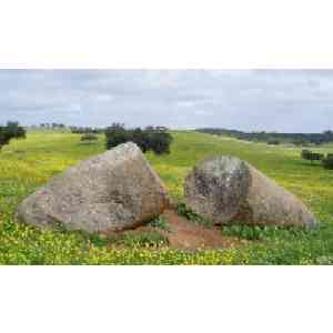 Click para ampliar. Pulsa en el nombre para ver la ficha.